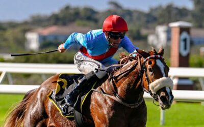 Ukuduma lands Irrisdescence Stakes