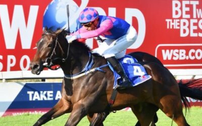 Klawervlei Bred filly, Perfect Miracle, maintains her unbeaten record