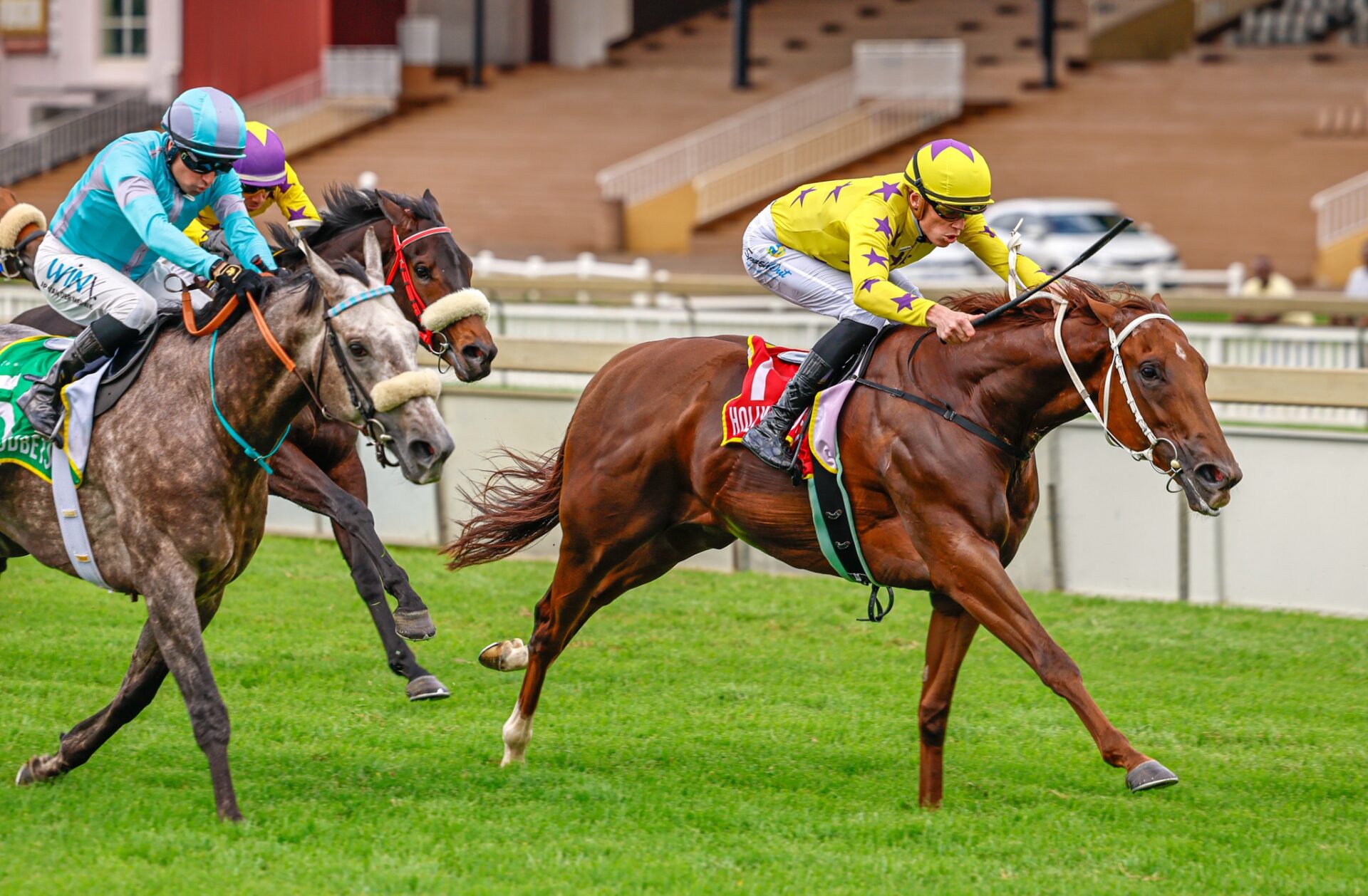KZN feature race success for Klawervlei bred blue blood - Klawervlei Stud