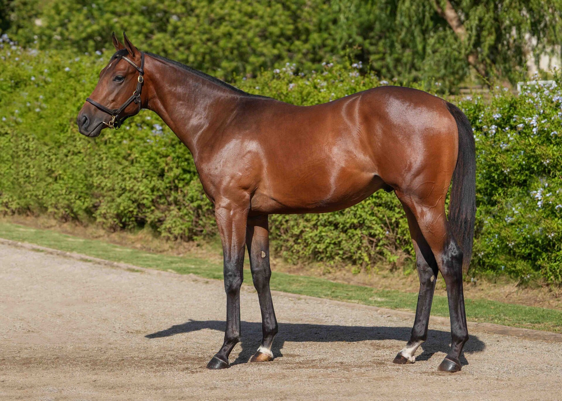 lot103
