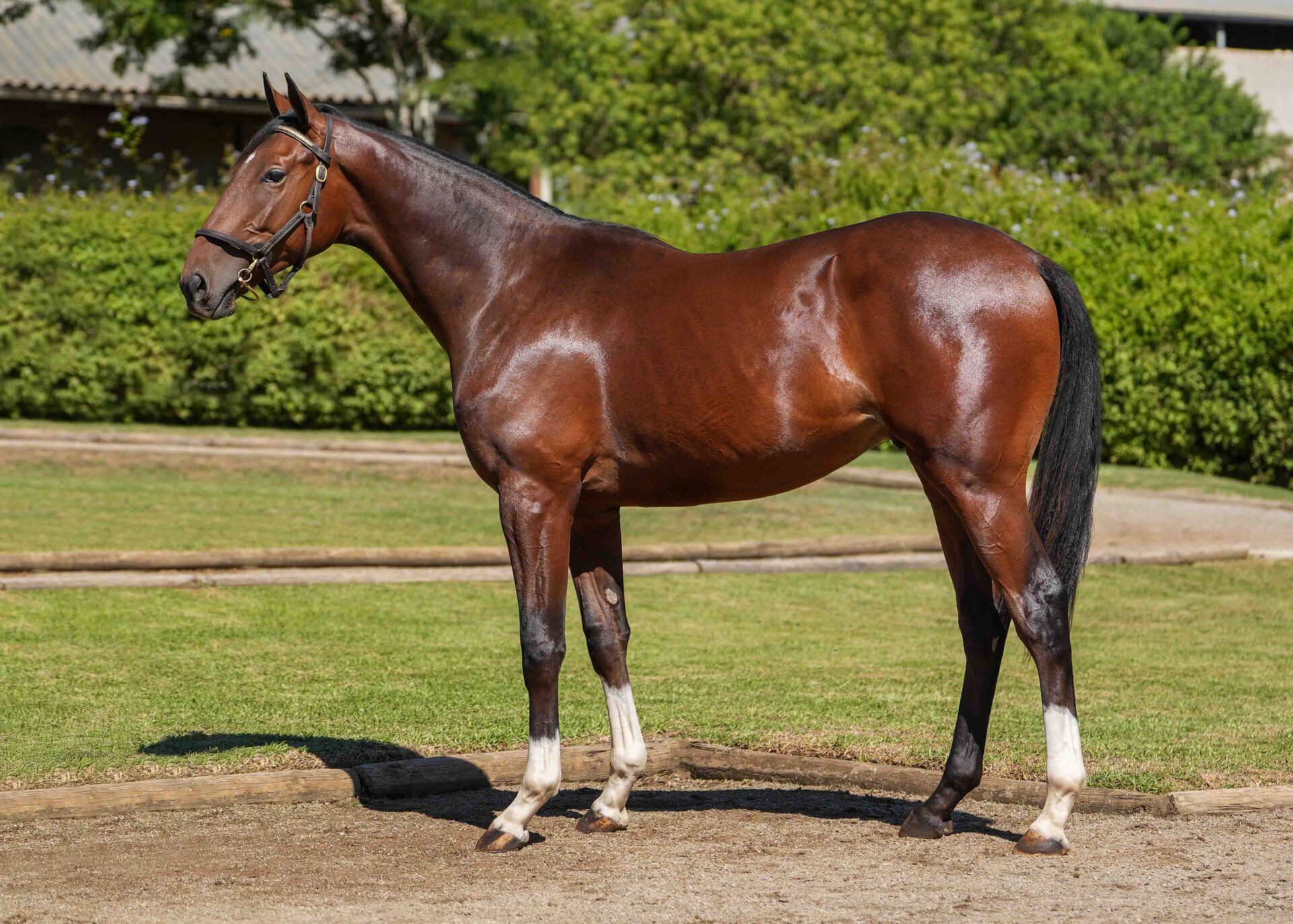 lot123