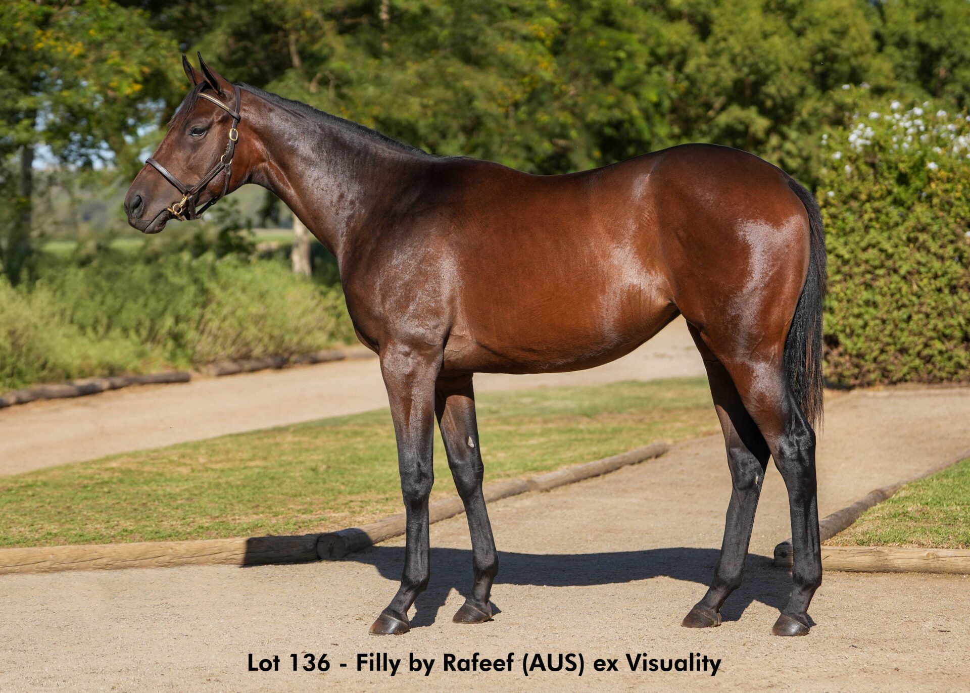 lot136