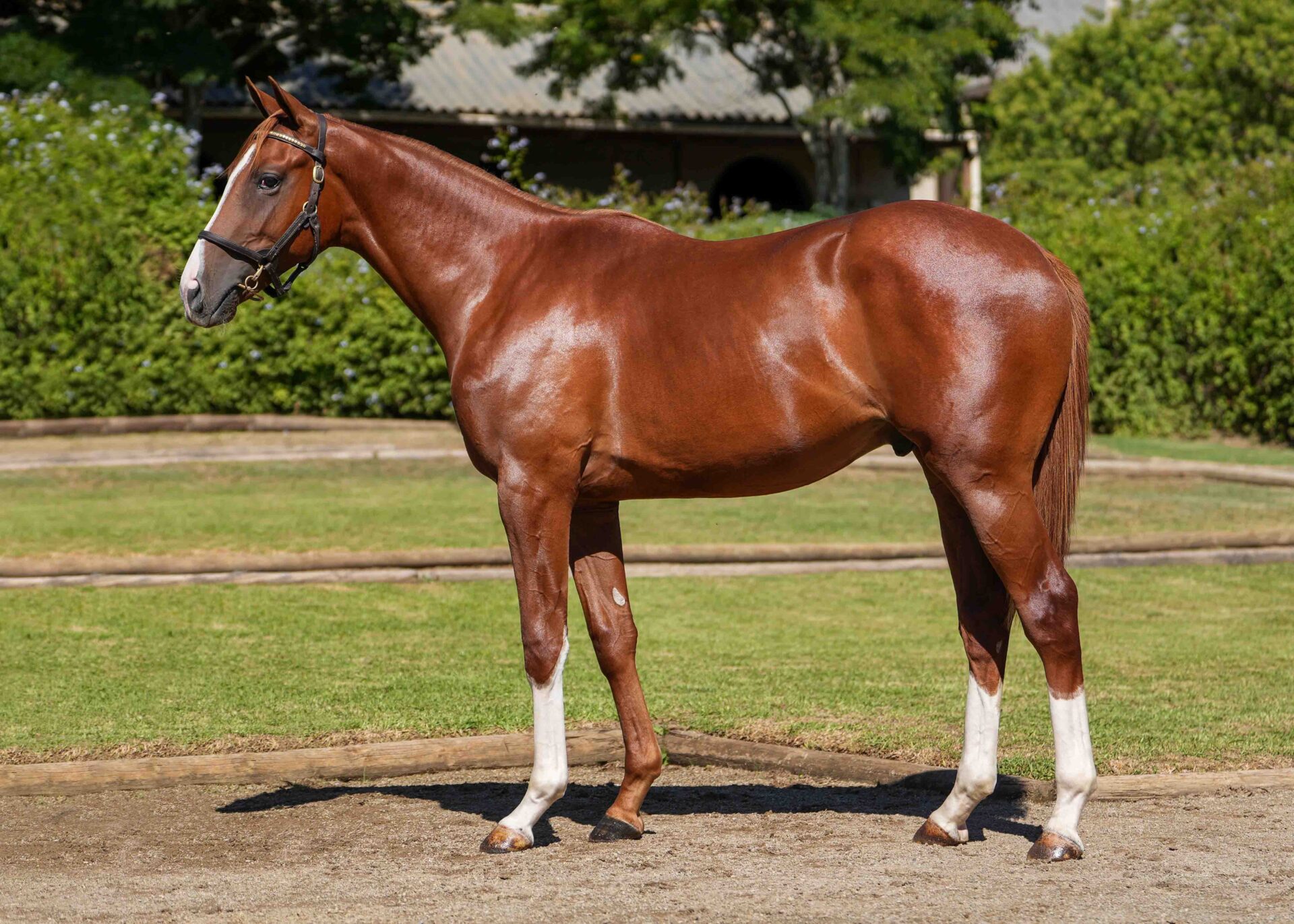 lot149