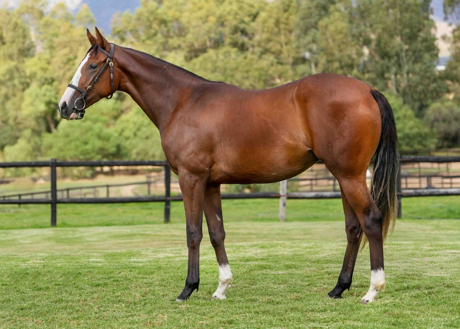 lot179