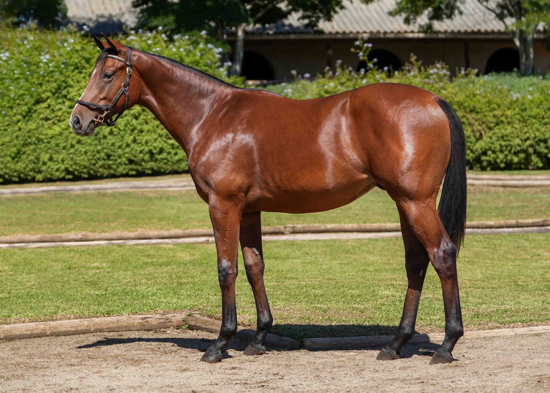 lot214