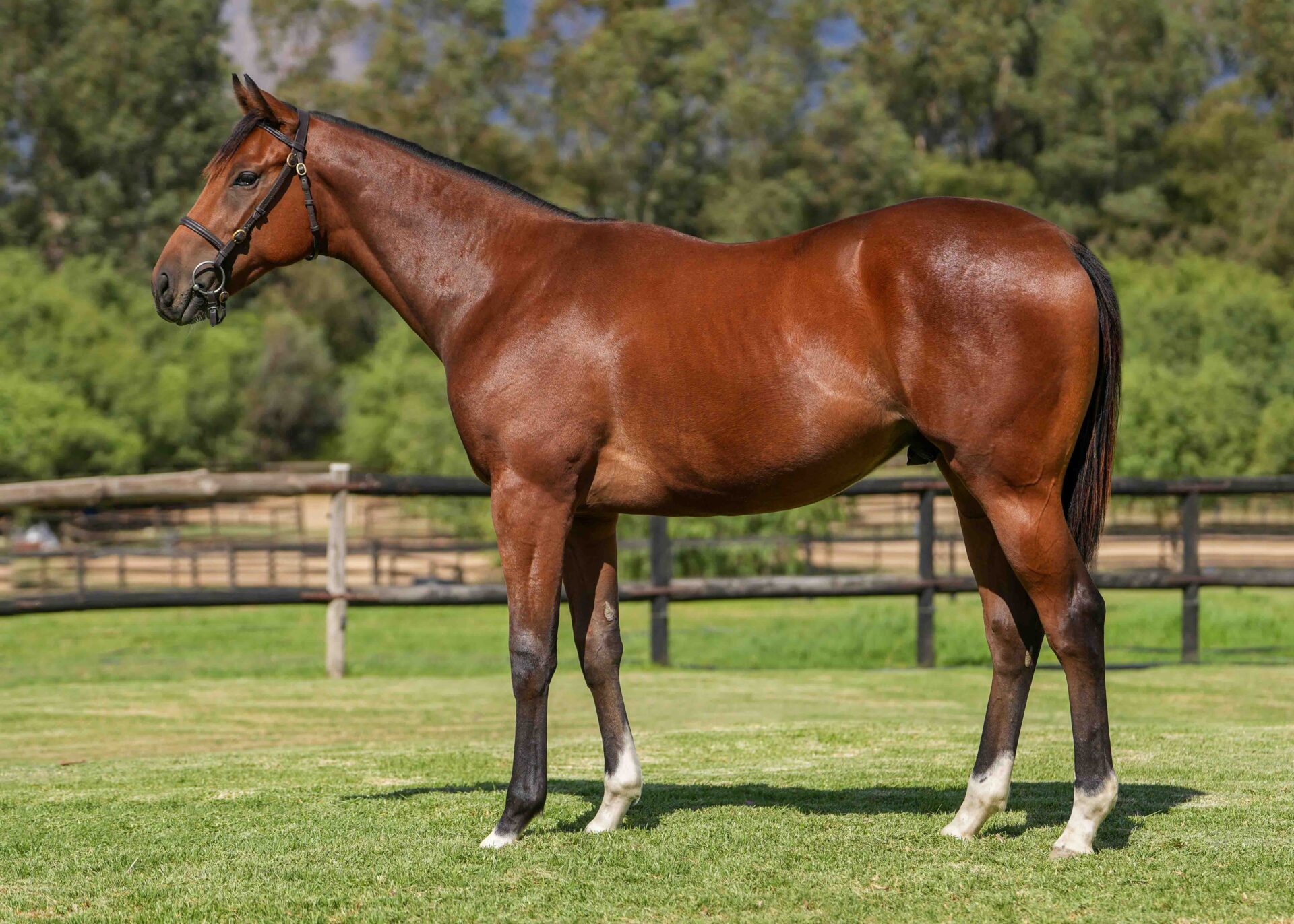 lot224