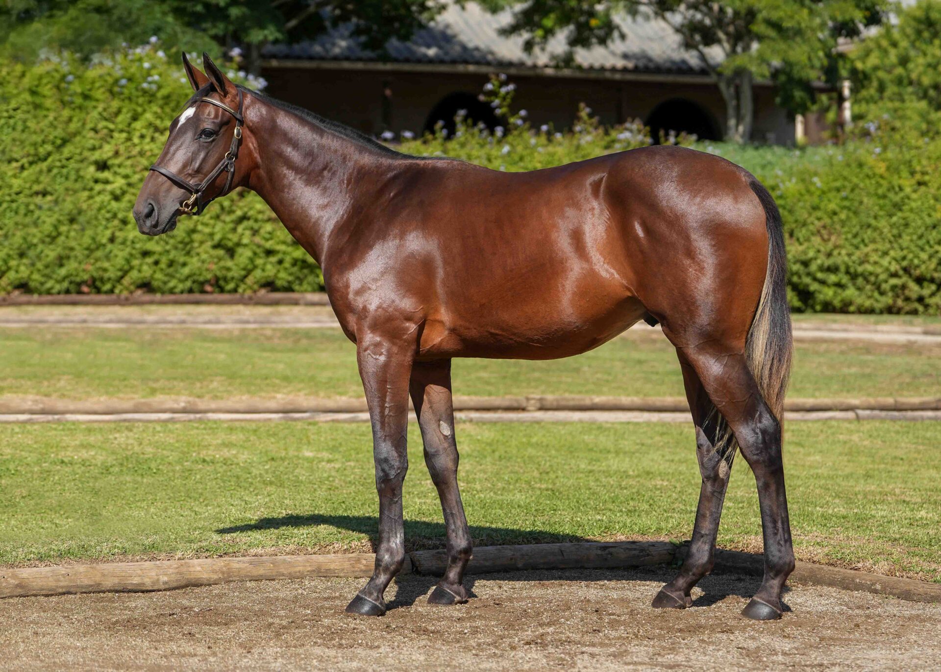 lot234