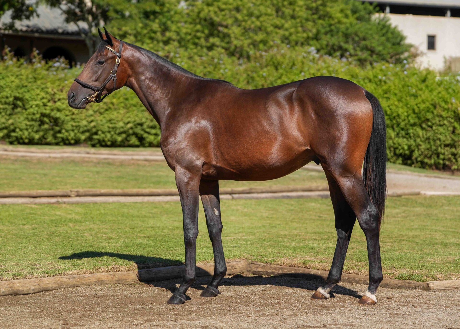 lot235