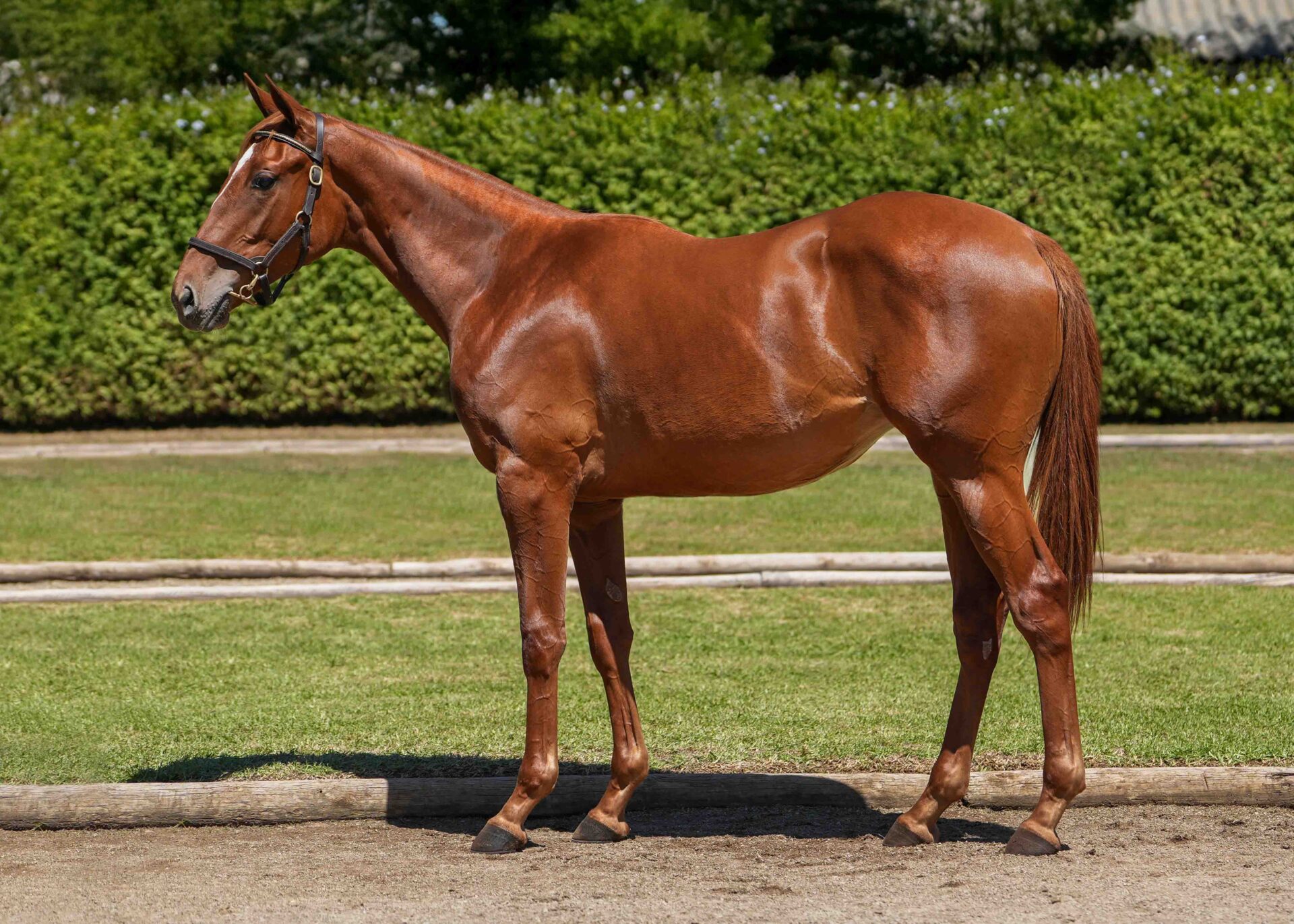 lot24