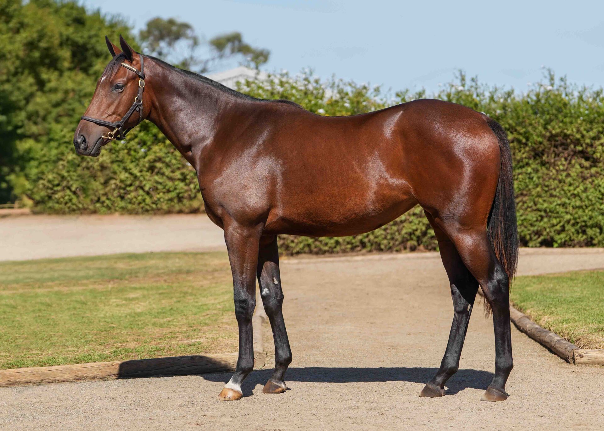 lot254