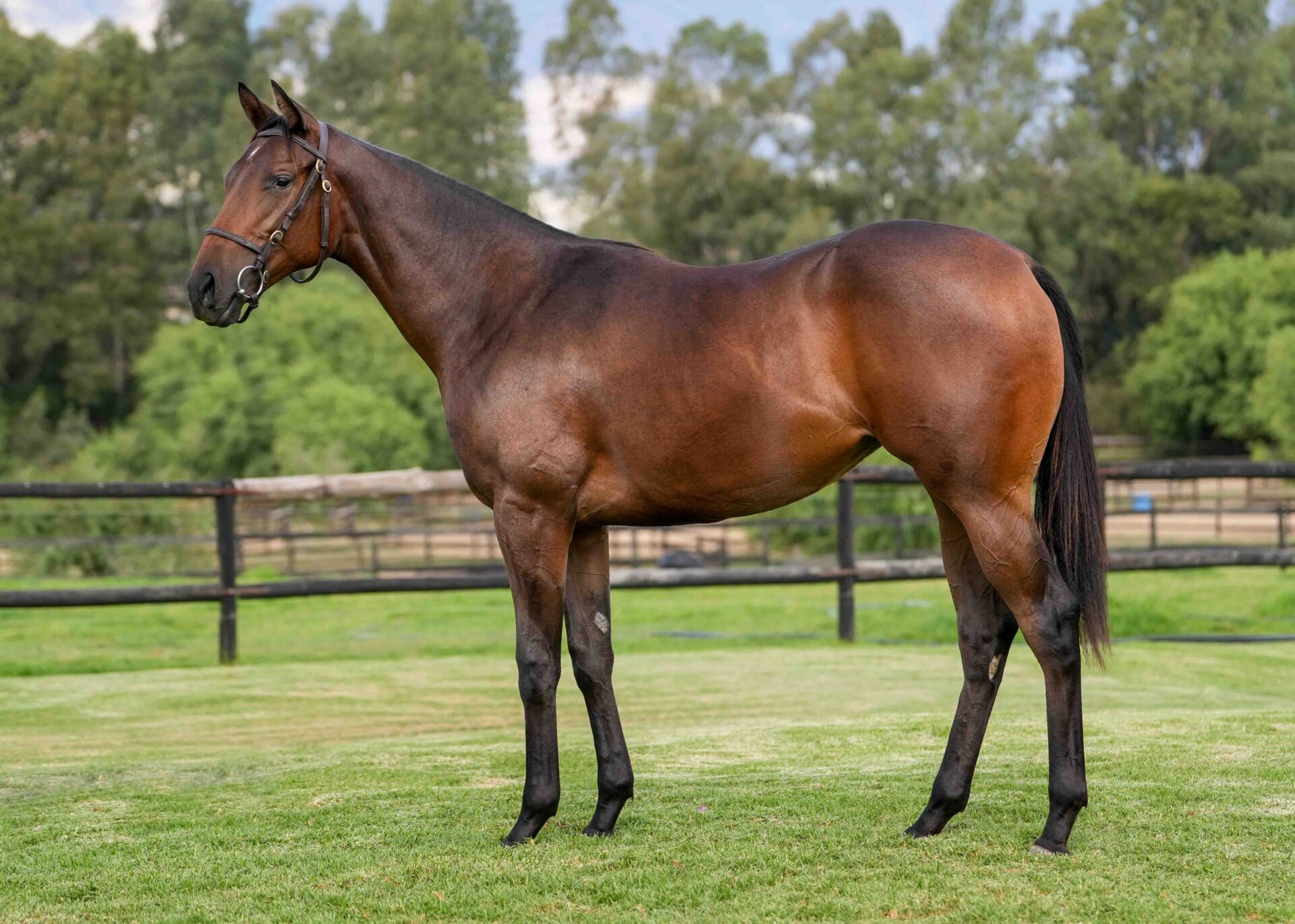 lot32