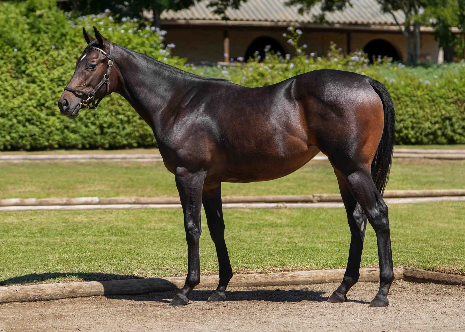 lot69