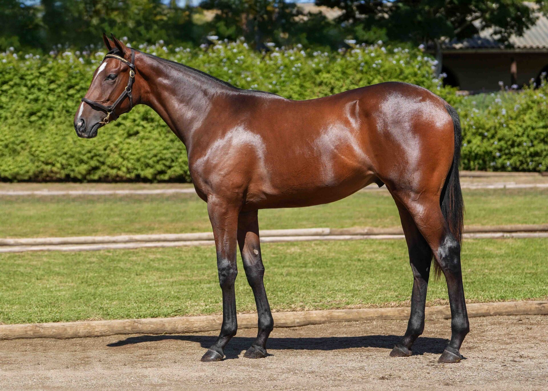 lot78