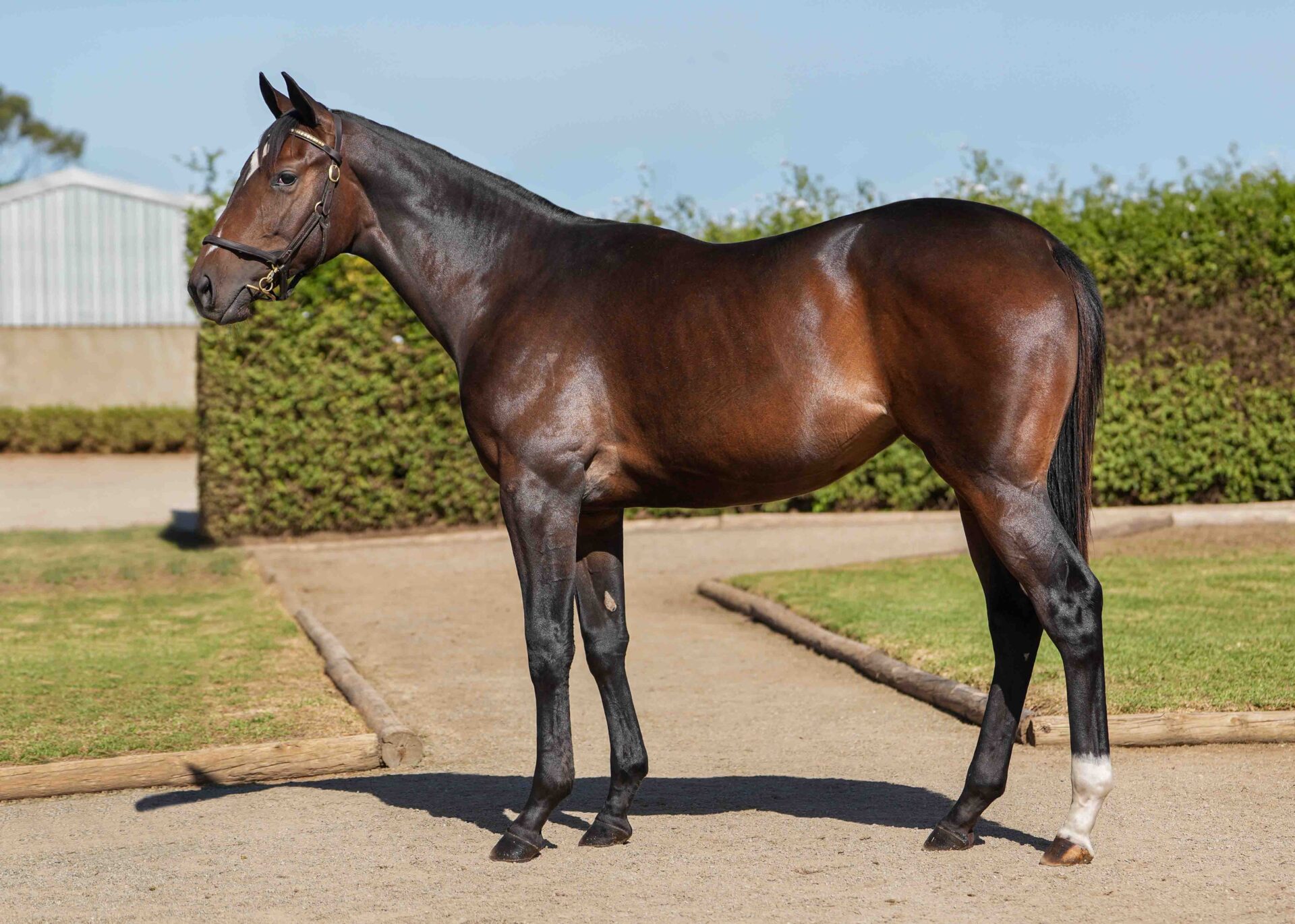lot79