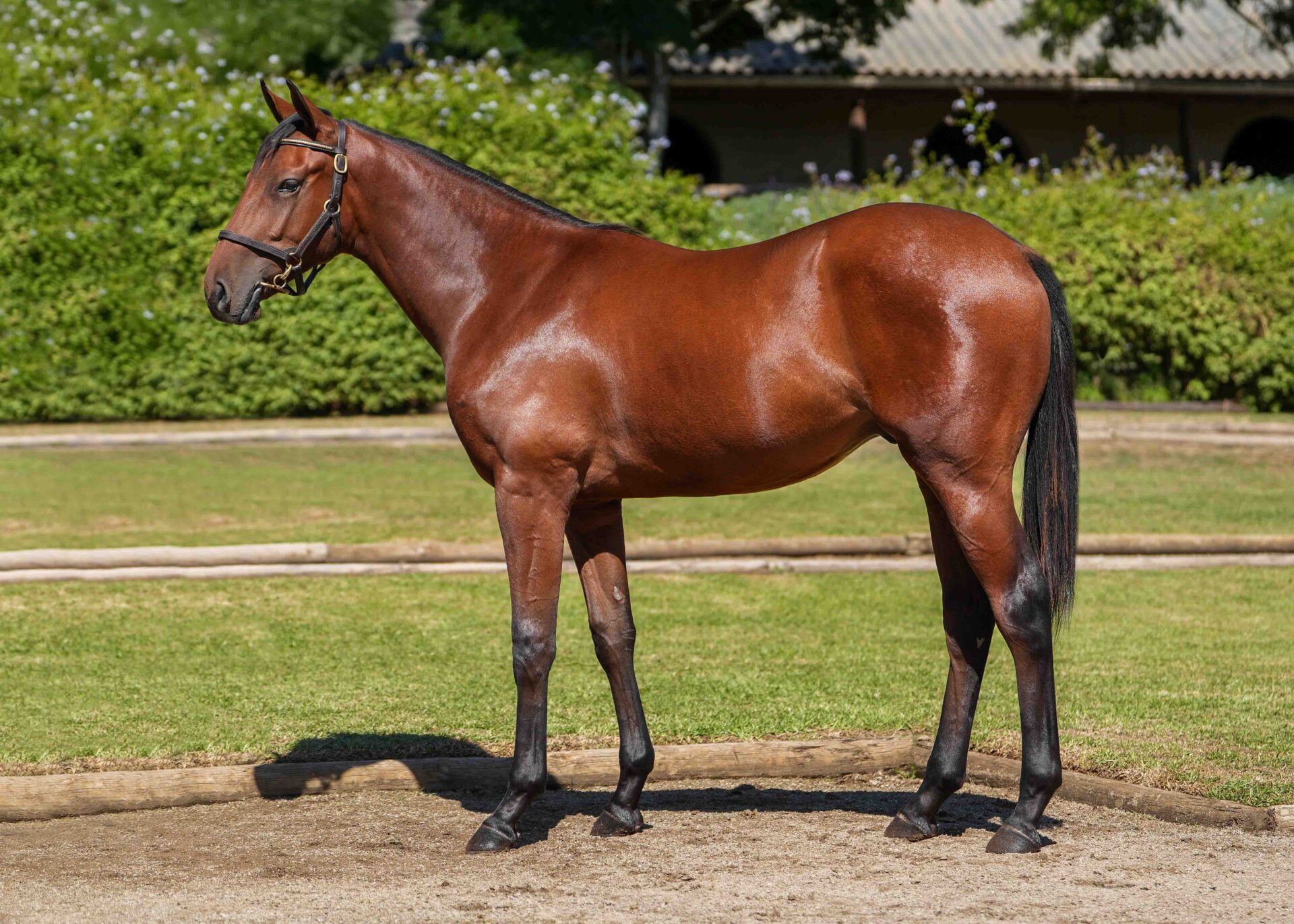 lot88