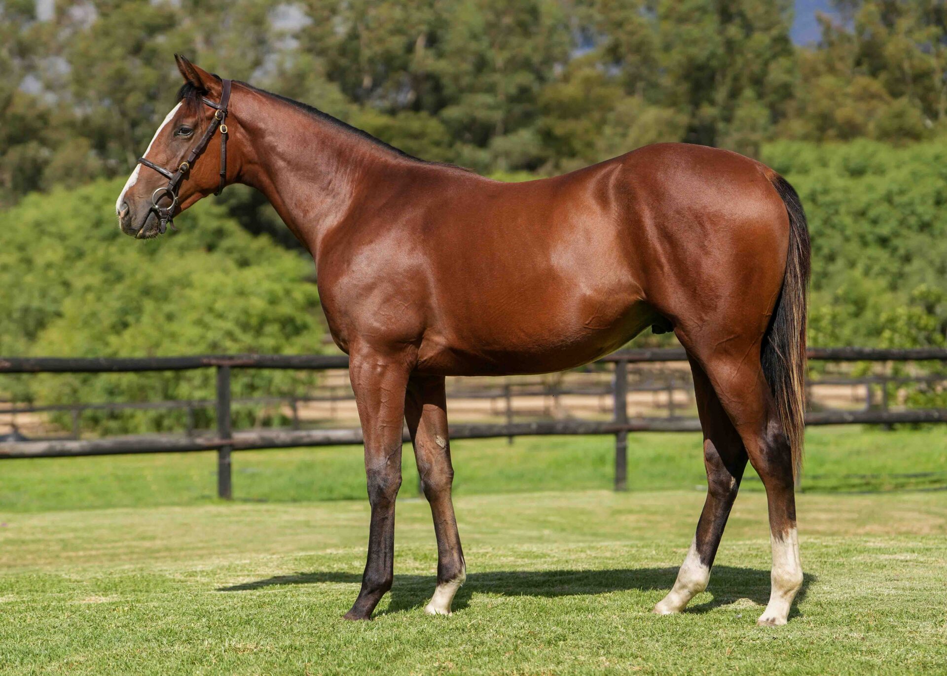 lot92