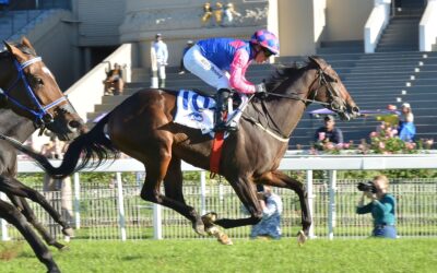 Perfect Miracle romps to Camellia win