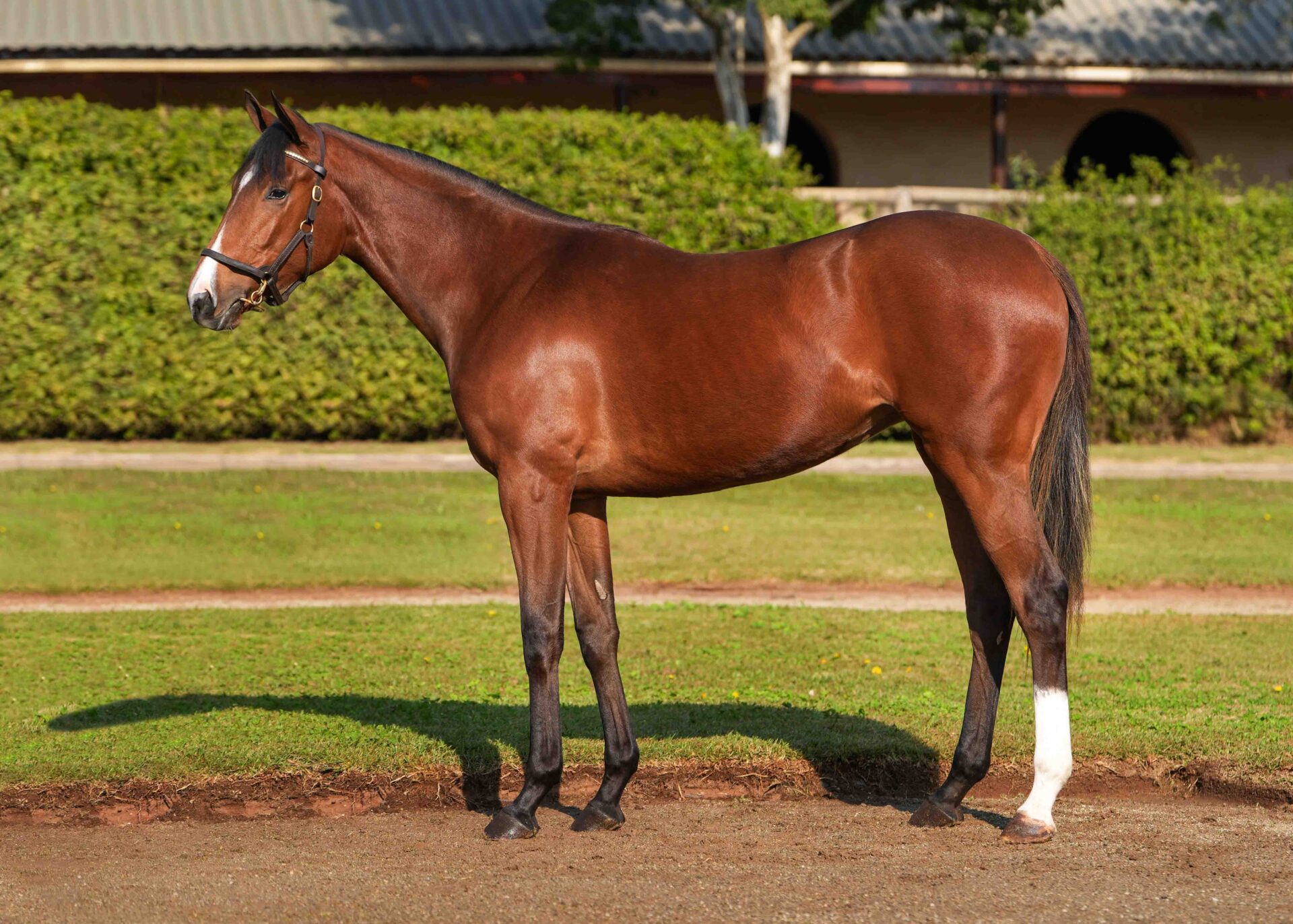 lot125