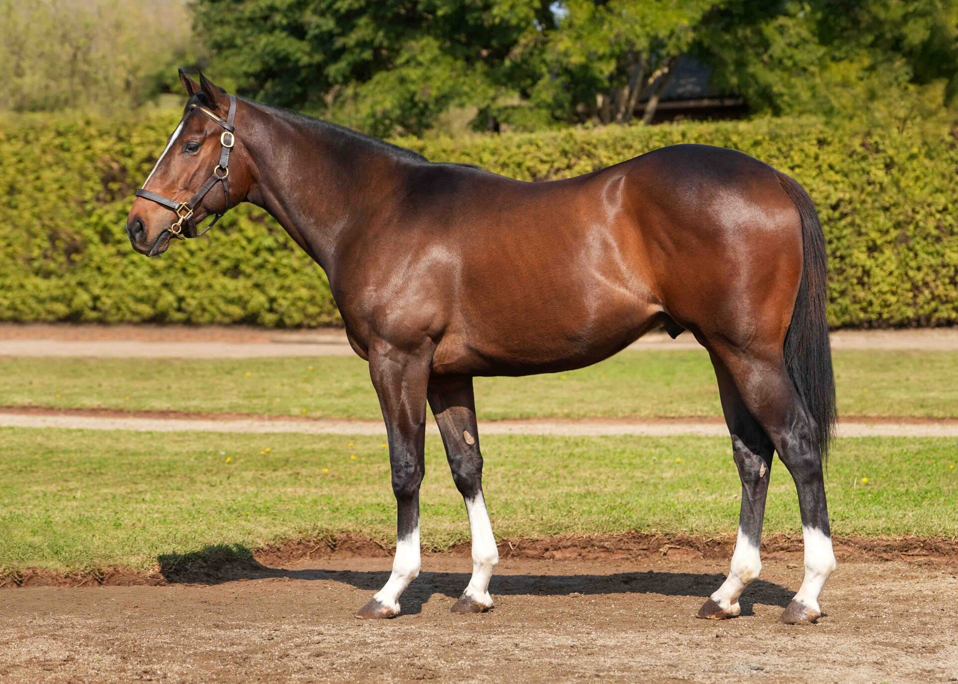 lot14