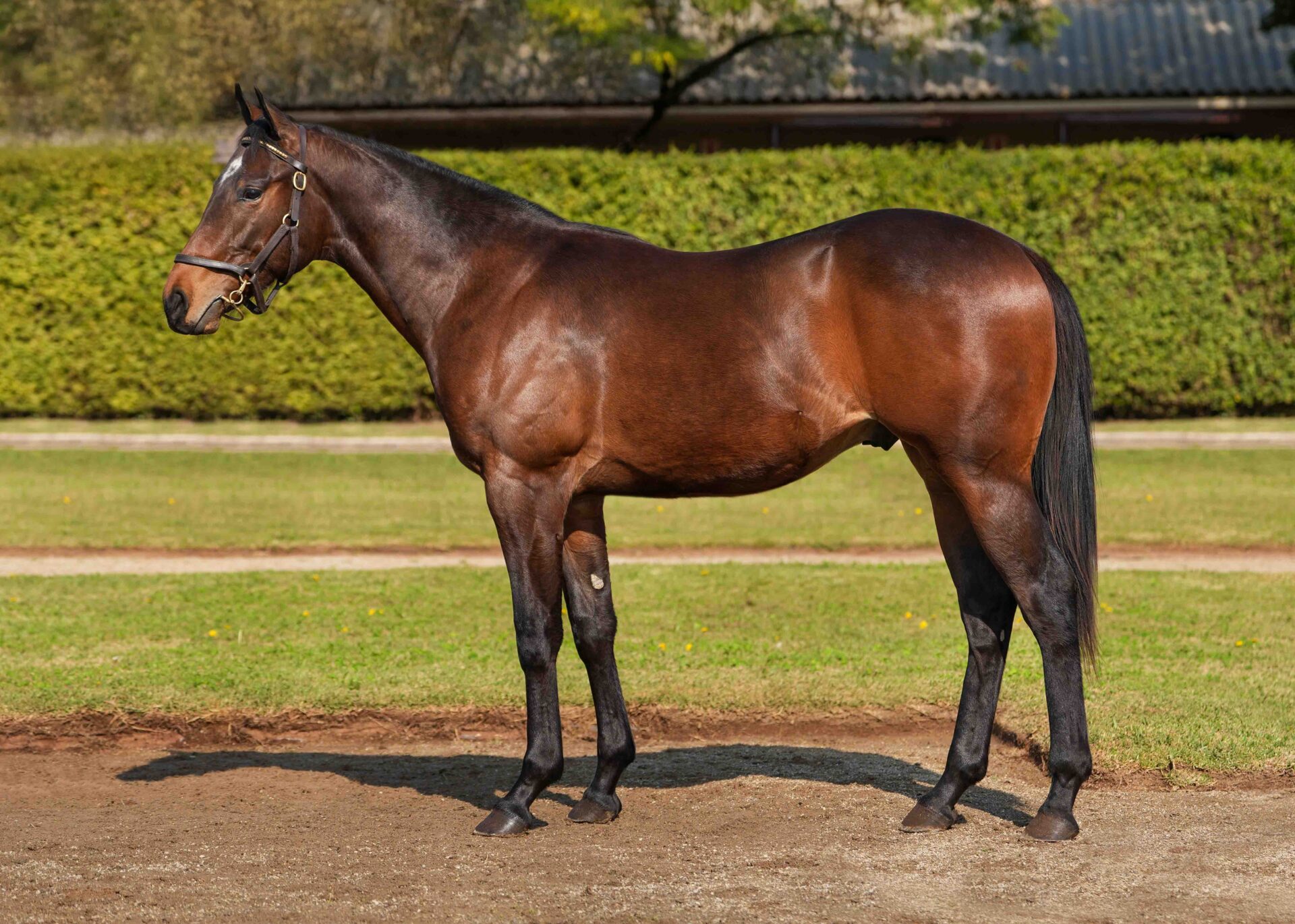 lot164