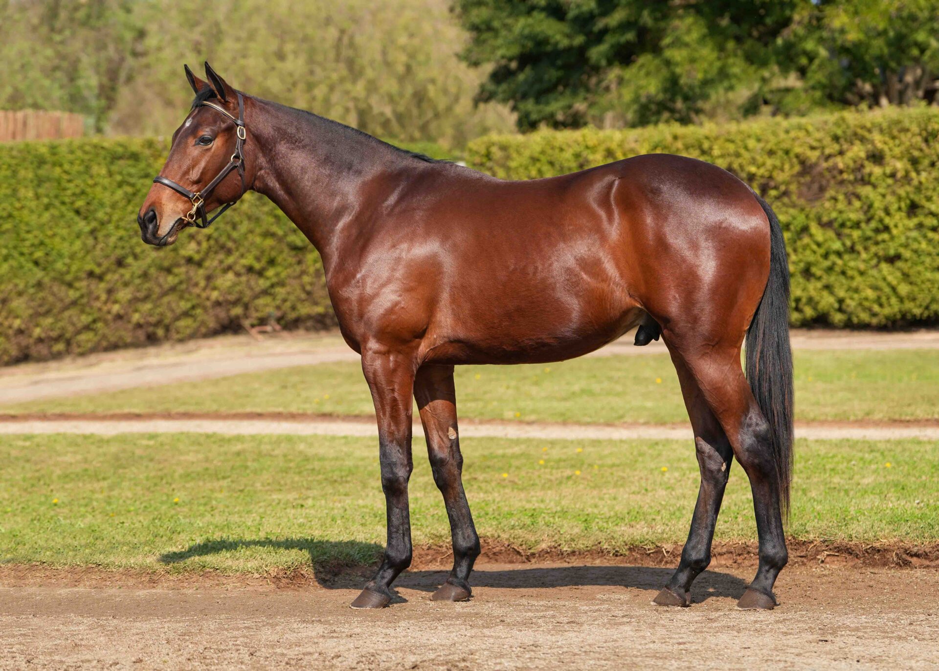 lot192